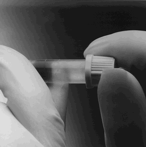 BD MICROTAINER TUBES