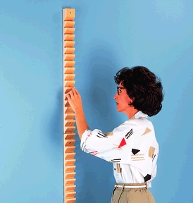 HAUSMANN SHOULDER LADDER
