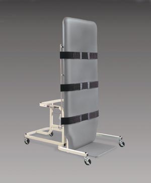HAUSMANN BARIATRIC ELECTRIC TILT TABLE