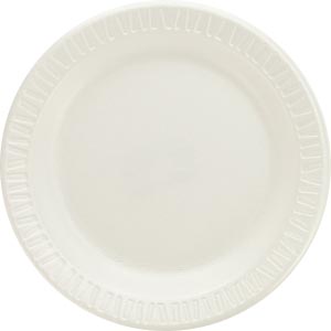 NETWORK SERVICES FOAM PLASTIC DINNERWARE