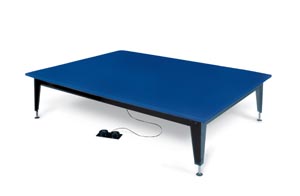 HAUSMANN BARIATRIC ELECTRIC MAT PLATFORM