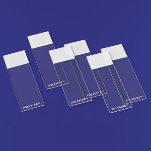 ERIE SCIENTIFIC POLYSINE ADHESION SLIDES <font color="#FF0000">(Over Stock Item)</font>